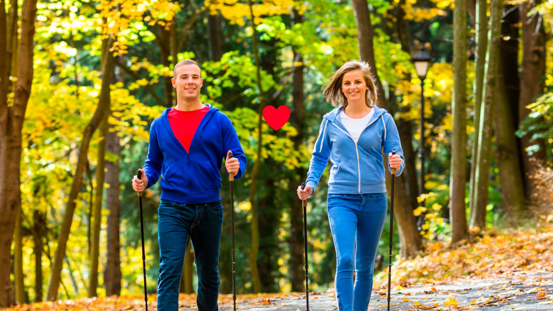 A film poster depicting a woman and a man Nordic walking on a forest path in autumn.